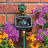 An automatic water timer is attached to a brass spigot on a brick wall, with a green hose connected below it, surrounded by colorful flowers.