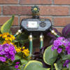 An electronic water timer mounted on a brick wall, with two connected hoses, surrounded by colorful blooming flowers and green leaves.