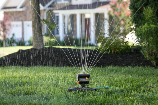 An oscillating sprinkler is watering a lush green lawn in a residential area with a house visible in the background on a sunny day.