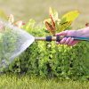 A person's hand holds a garden hose with a spray nozzle, watering lush green grass and plants in bright daylight.