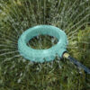 This image shows a circular sprinkler attached to a hose, spraying water onto wet grass, with water droplets visible on the sprinkler's turquoise surface.