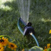 An oscillating sprinkler is watering a green lawn surrounded by vibrant yellow flowers on a sunny day, with water droplets visibly arcing through the air.