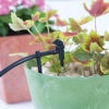 This is an image of a green pot containing a plant with variegated leaves, equipped with a drip irrigation system, set against a blurred floral background.