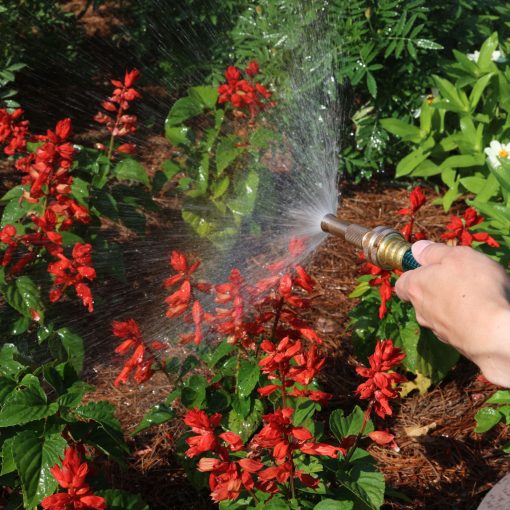 A person's hand holds a hose with a nozzle, watering vibrant red flowers and green plants in a sunlit garden with a spray of water visible.