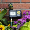 An electronic water timer is attached to a spigot on a brick wall, surrounded by lush green leaves and vibrant purple flowers in a garden setting.