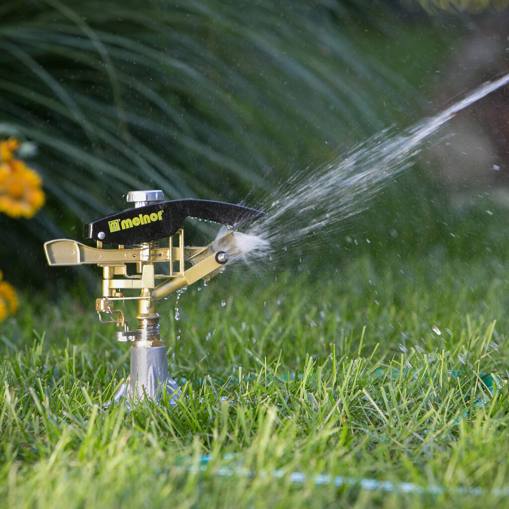 An oscillating lawn sprinkler is actively watering the green grass, with water droplets visibly spraying out and a blurred plant background.