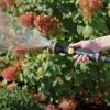 A person is holding a garden hose nozzle, spraying water onto lush plants with pinkish blooms, in bright, sunlit conditions, suggesting garden maintenance or watering.