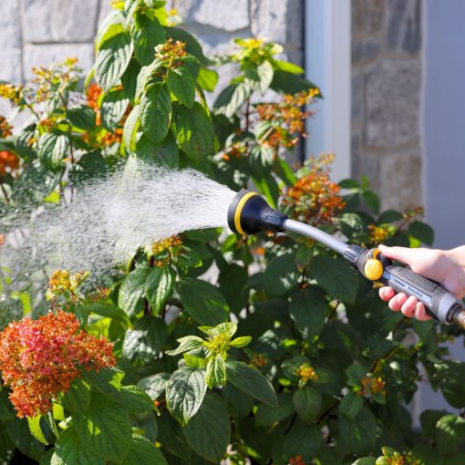 Melnor RelaxGrip® Shower Head Watering Wand gently watering a hydrangea plant