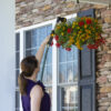 A person is watering a vibrant hanging flower basket outside a house with stone cladding, using a hose with a spray nozzle attachment.