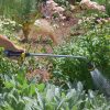 Melnor RelaxGrip 8-Pattern Watering Wand gently watering a flourishing garden with the shower spray pattern