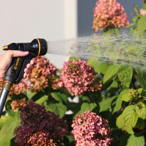 A person is watering pink hydrangea flowers with a garden hose and spray nozzle in sunlight, focusing on plant care and gardening activities.