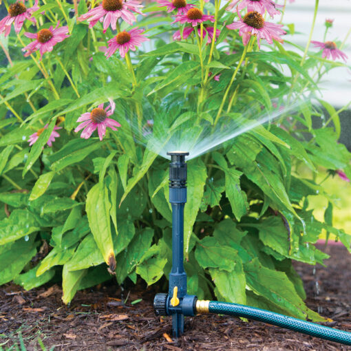 This image shows a garden sprinkler actively watering pink coneflowers and green foliage. A green hose is attached to the sprinkler, set on mulched soil.