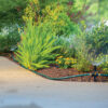 This is a well-maintained garden with lush greenery, colorful flowers, and an irrigation hose visible along a concrete walkway. It's a sunny day with soft lighting.