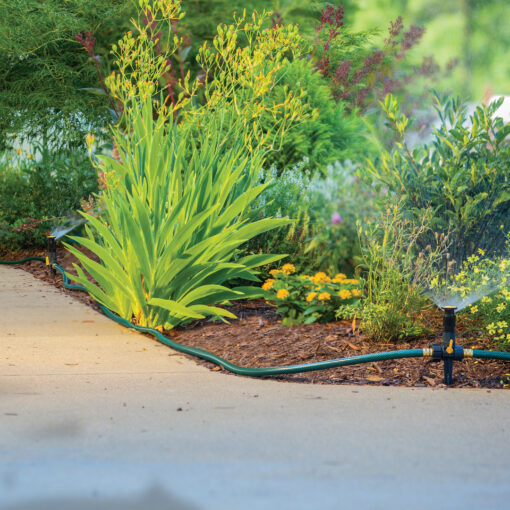 This is a well-maintained garden with lush greenery, colorful flowers, and an irrigation hose visible along a concrete walkway. It's a sunny day with soft lighting.