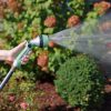 A person's hand holds a garden hose with a spray nozzle, watering plants. The sun highlights the mist of water against greenery and flowers.