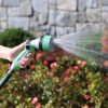 A person is holding a green garden hose nozzle, spraying water on plants. The background includes blooming red flowers and a grey stone wall.