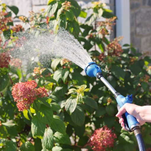 Sprout Blueberry Blue Watering Wand spraying a shower spray pattern towards a Hydrangea plant