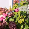 Raspberry Red Sprout Watering Wand spraying a shower spray towards flowers