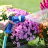 A person is holding a blue and black garden hose nozzle, watering vibrant pink and orange flowers in bright sunlight. The water is spraying out in a fine mist.