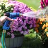 A person is holding a blue garden hose nozzle, labeled 'Sprout,' watering vibrant flowers in a sunny garden setting. The plants are lush and colorful.