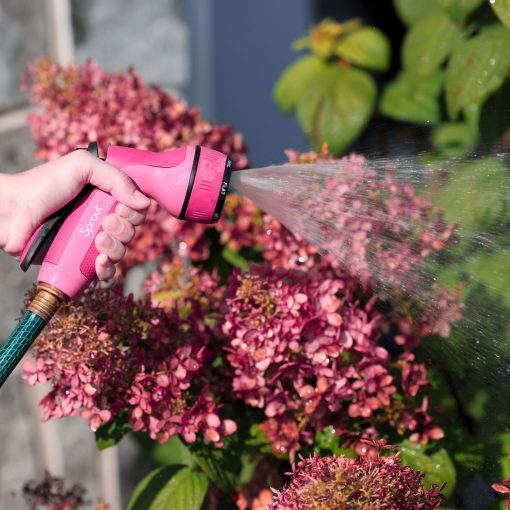 A person's hand holding a pink spray nozzle, watering deep pink hydrangea flowers, with water droplets scattering in the sunlight against a green background.