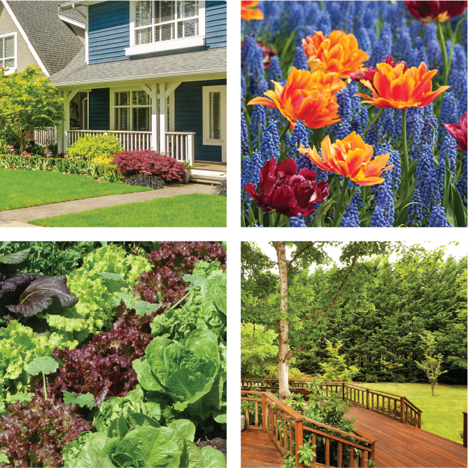 The image is a collage of four scenes: a blue house with a porch, vibrant tulips among other flowers, leafy green lettuces growing, and a wooden deck overlooking a lush yard.