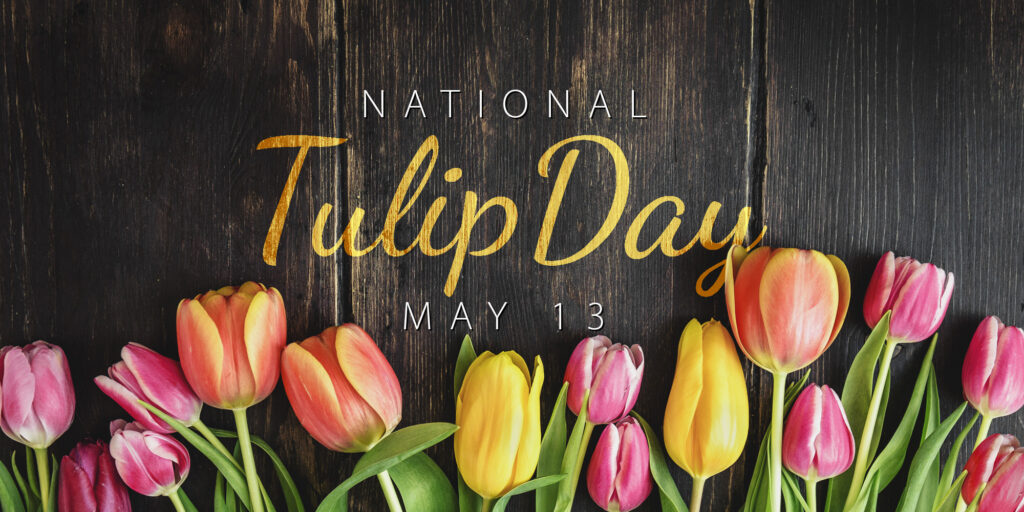 The image features a row of colorful tulips against a dark wood backdrop with text "National Tulip Day May 13" celebrating the named flower.