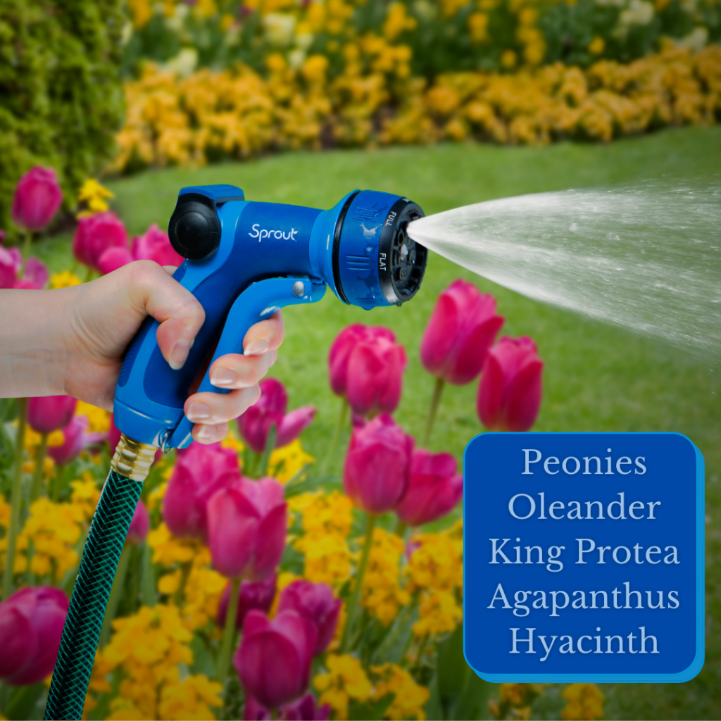 A person's hand is holding a blue garden hose nozzle, spraying water on a vibrant flower bed with tulips. A list of other flowers is displayed.