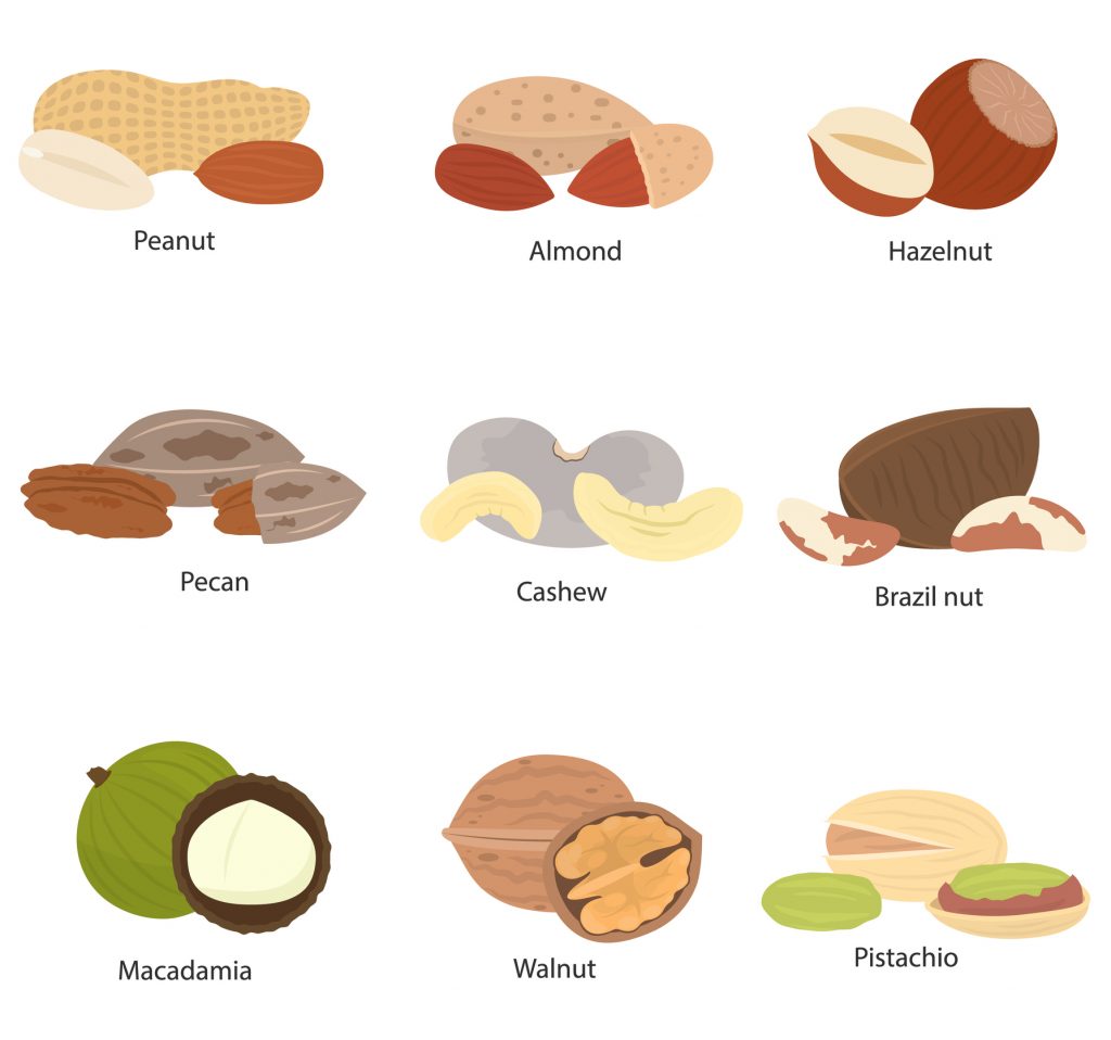 The image depicts nine types of nuts with their names: Peanut, Almond, Hazelnut, Pecan, Cashew, Brazil nut, Macadamia, Walnut, and Pistachio, illustrated in a cartoon style.