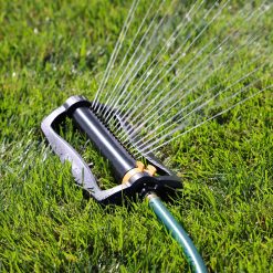 This image shows an oscillating lawn sprinkler actively spraying water on bright green grass under sunlight, indicating garden irrigation on a clear day.