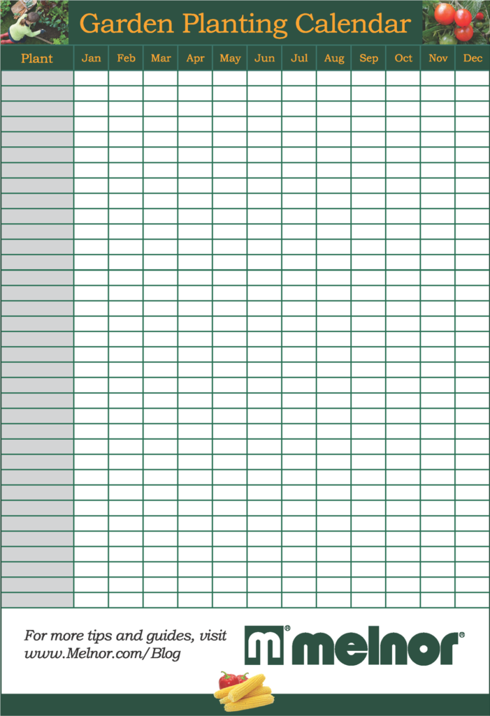 A blank garden planting calendar with columns for each month and rows for plant names; decorated with vegetables and a brand logo at the bottom.