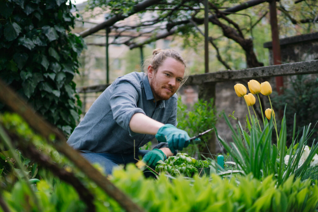 Young Man Gardens In His Back Yard