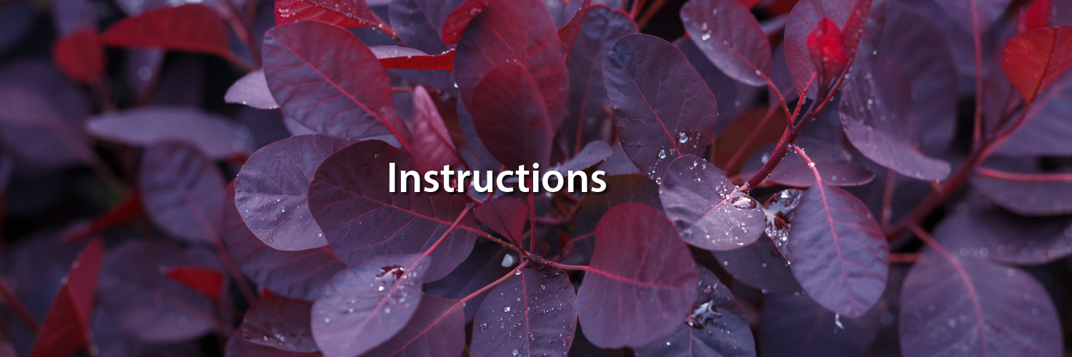 The image shows a close-up of dark red leaves with visible water droplets on them, with the word "Instructions" overlaid in white text.