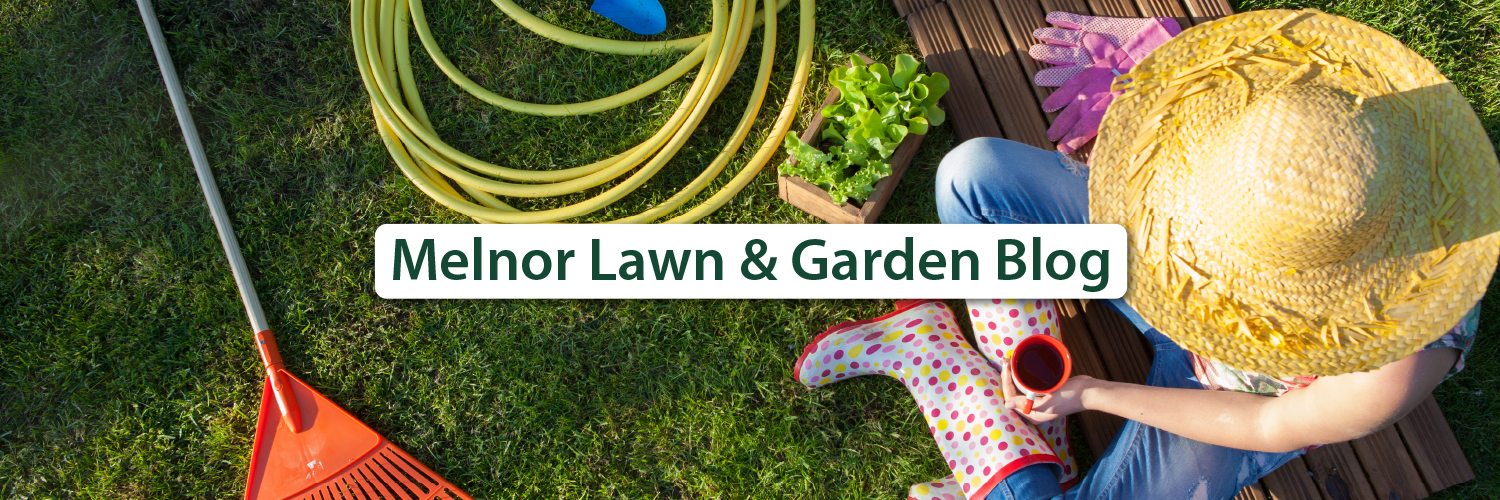 Aerial view of a person sitting on a wooden deck beside gardening tools, wearing a straw hat and polka dot boots, with the text "Melnor Lawn & Garden Blog."