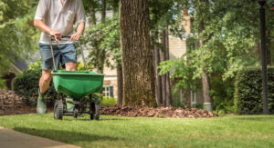 Man Seeding Lawn