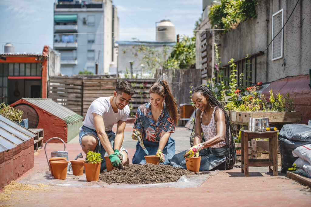 Three people are gardening together on a sunny rooftop, planting in soil with surrounding pots and urban buildings in the background.