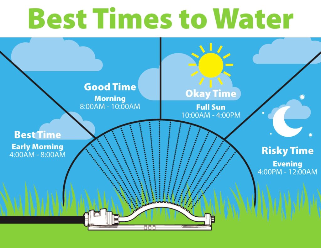 Best Time To Water 1024x791 