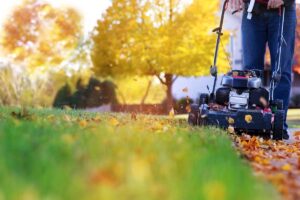 Gardener mowing the grass with a lawn mower in sunny autumn