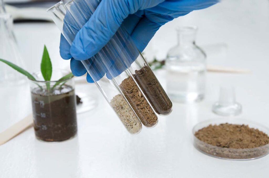 Laboratory assistant holding glass tubes of sand, black soil and clay before testing them