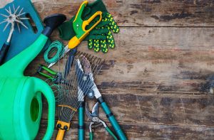 Garden tools laying on a wooden table