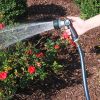 A person's hand is holding a garden hose with a spray nozzle, watering red roses with a gentle shower setting in a sunny garden.