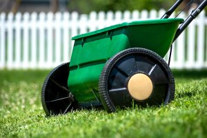 A green wheelbarrow is positioned on a lush lawn with a background featuring a neat white picket fence under a clear sky. No people are visible.